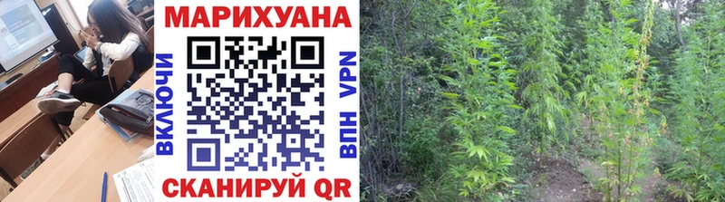 Каннабис индика Камбарка